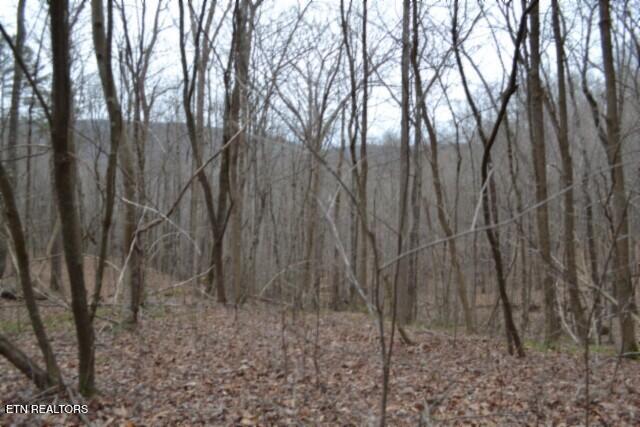 Lot 14 Cheyenne Drive Jamestown TN 38556
