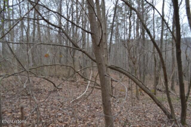 Lot 14 Cheyenne Drive Jamestown TN 38556