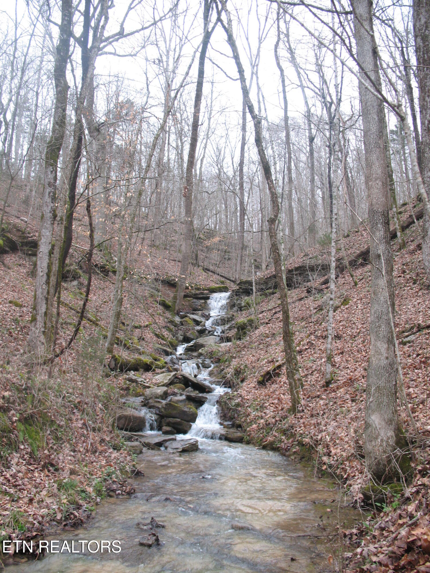 Lot 14 Cheyenne Drive Jamestown TN 38556