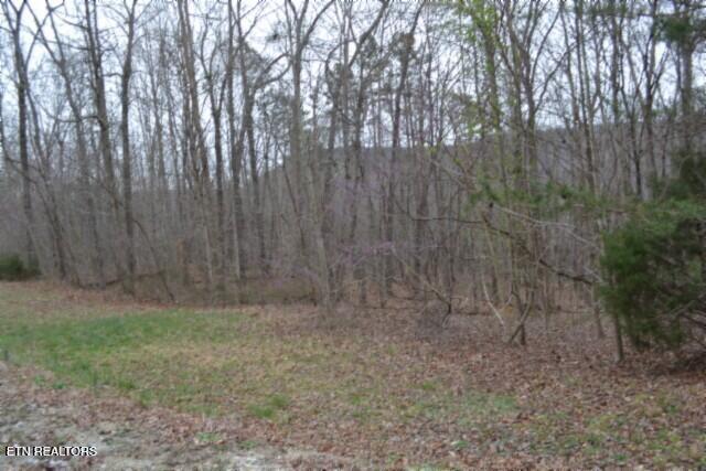 Lot 14 Cheyenne Drive Jamestown TN 38556