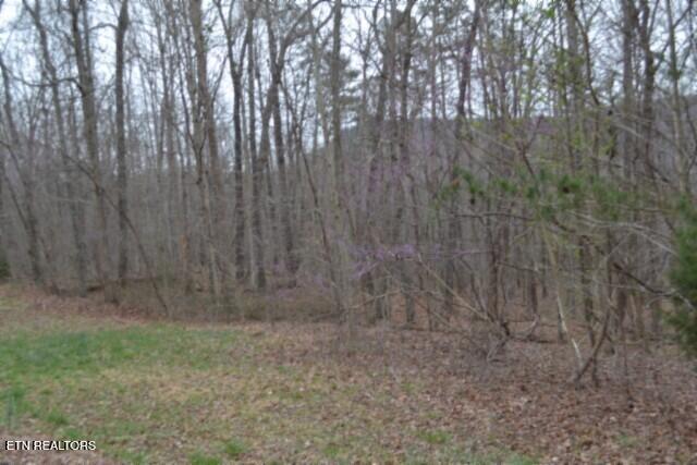 Lot 14 Cheyenne Drive Jamestown TN 38556