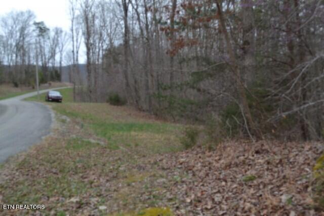 Lot 14 Cheyenne Drive Jamestown TN 38556