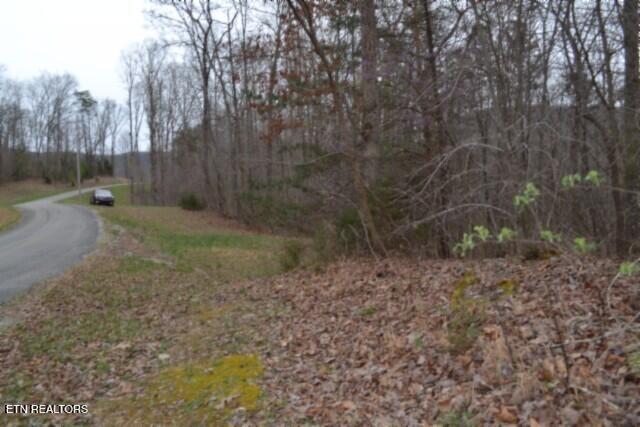 Lot 14 Cheyenne Drive Jamestown TN 38556