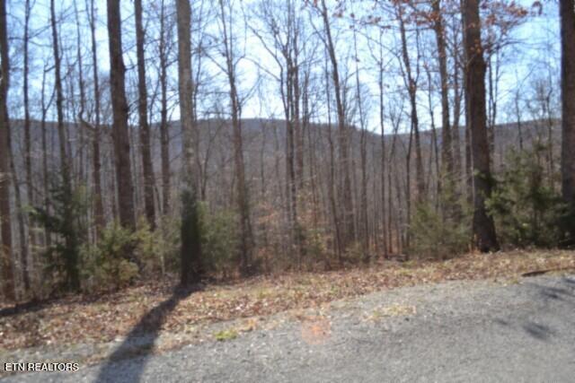Lot 14 Cheyenne Drive Jamestown TN 38556