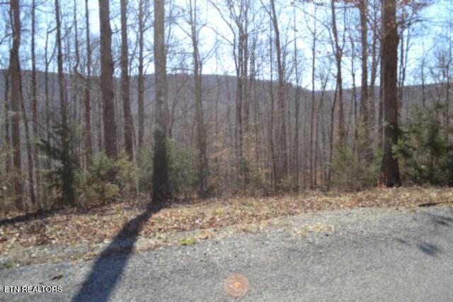 Lot 14 Cheyenne Drive Jamestown TN 38556