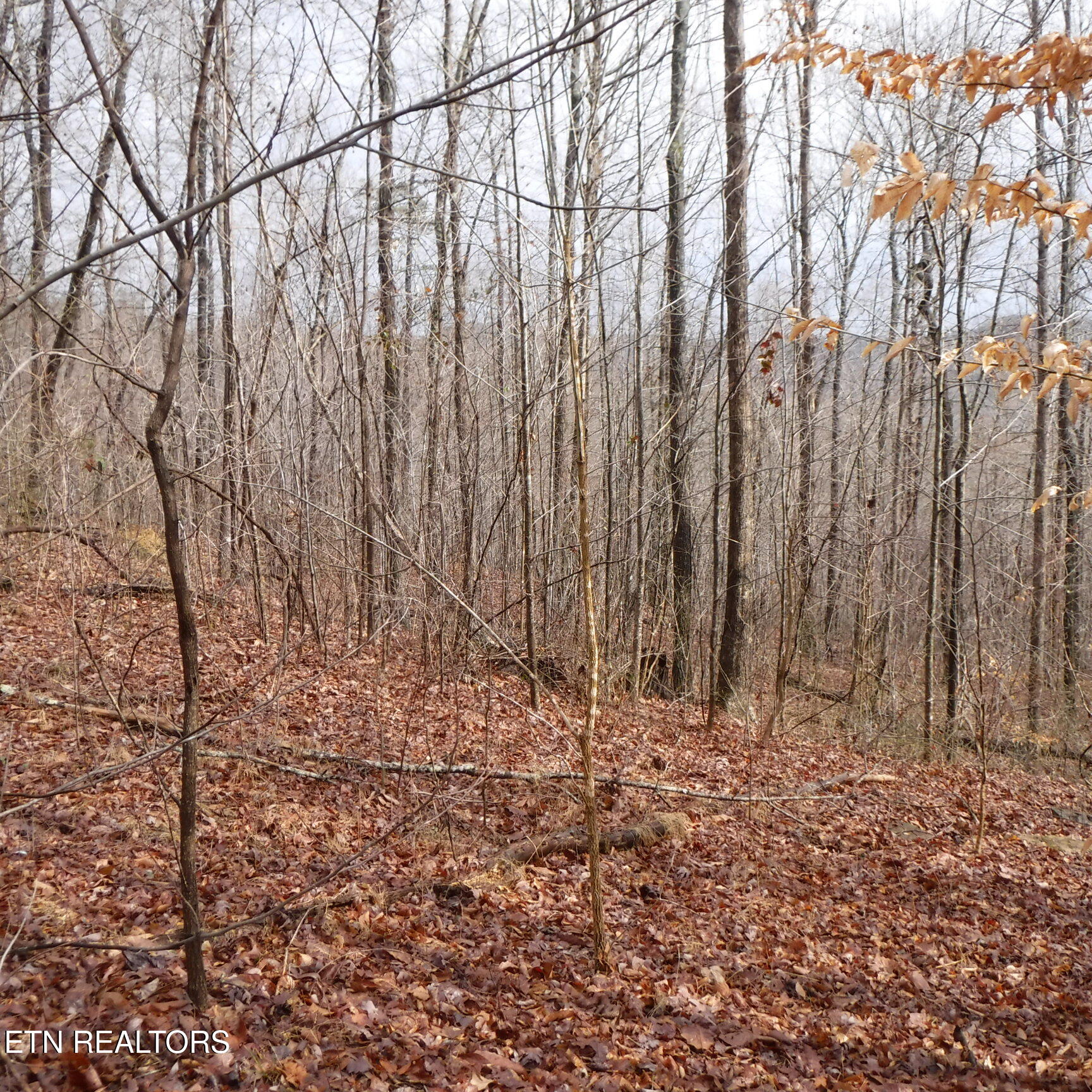 Lot 14 Cheyenne Drive Jamestown TN 38556