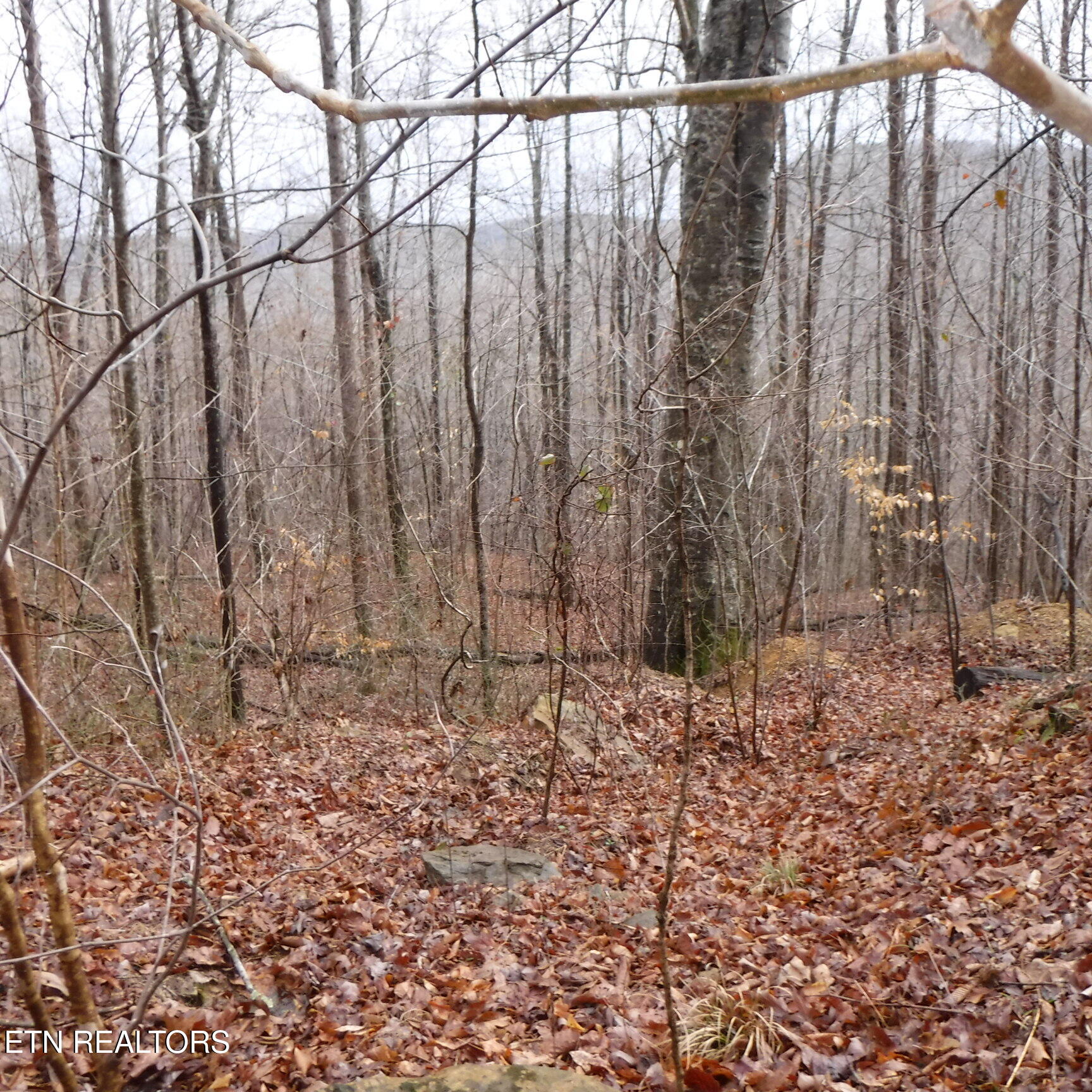 Lot 14 Cheyenne Drive Jamestown TN 38556