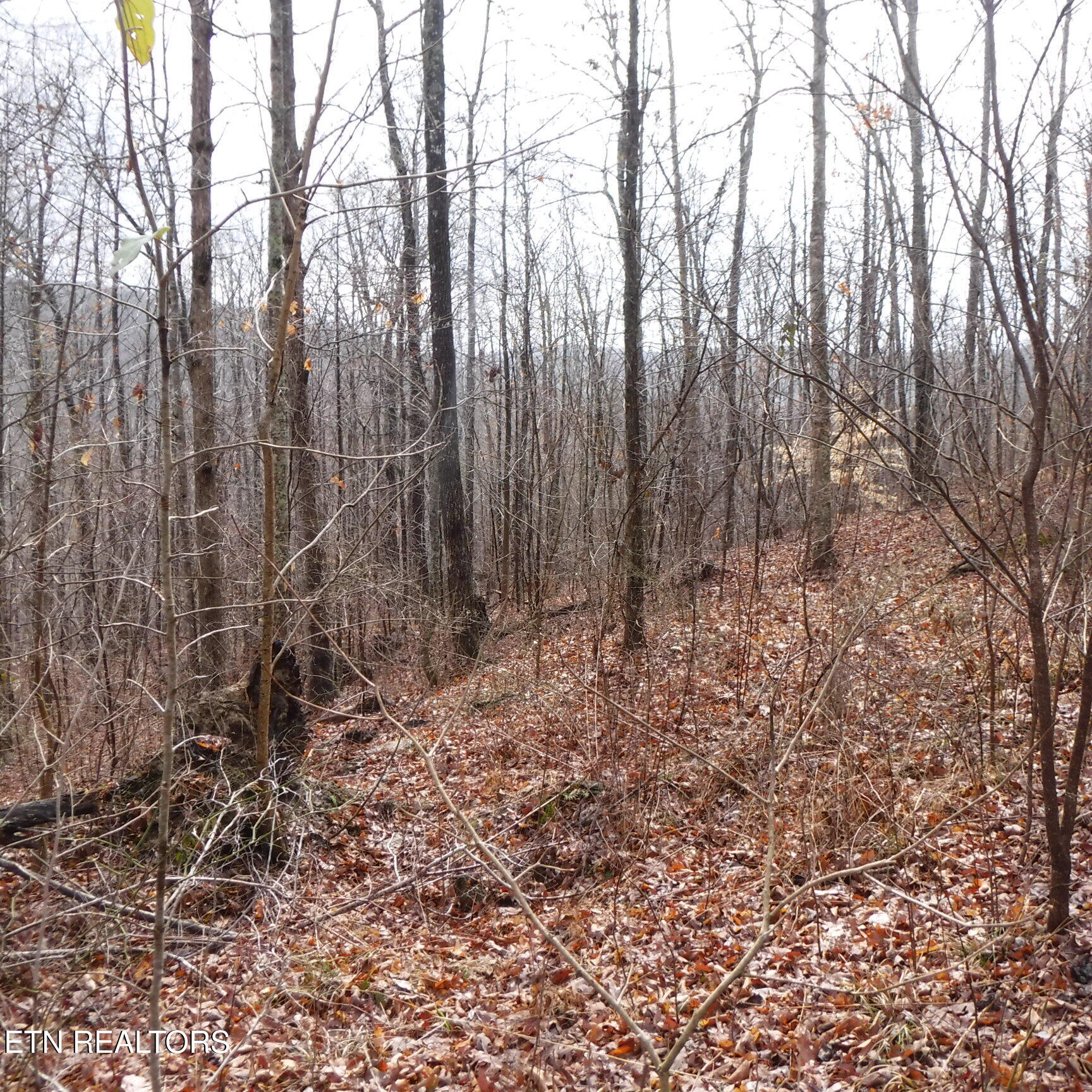 Lot 14 Cheyenne Drive Jamestown TN 38556
