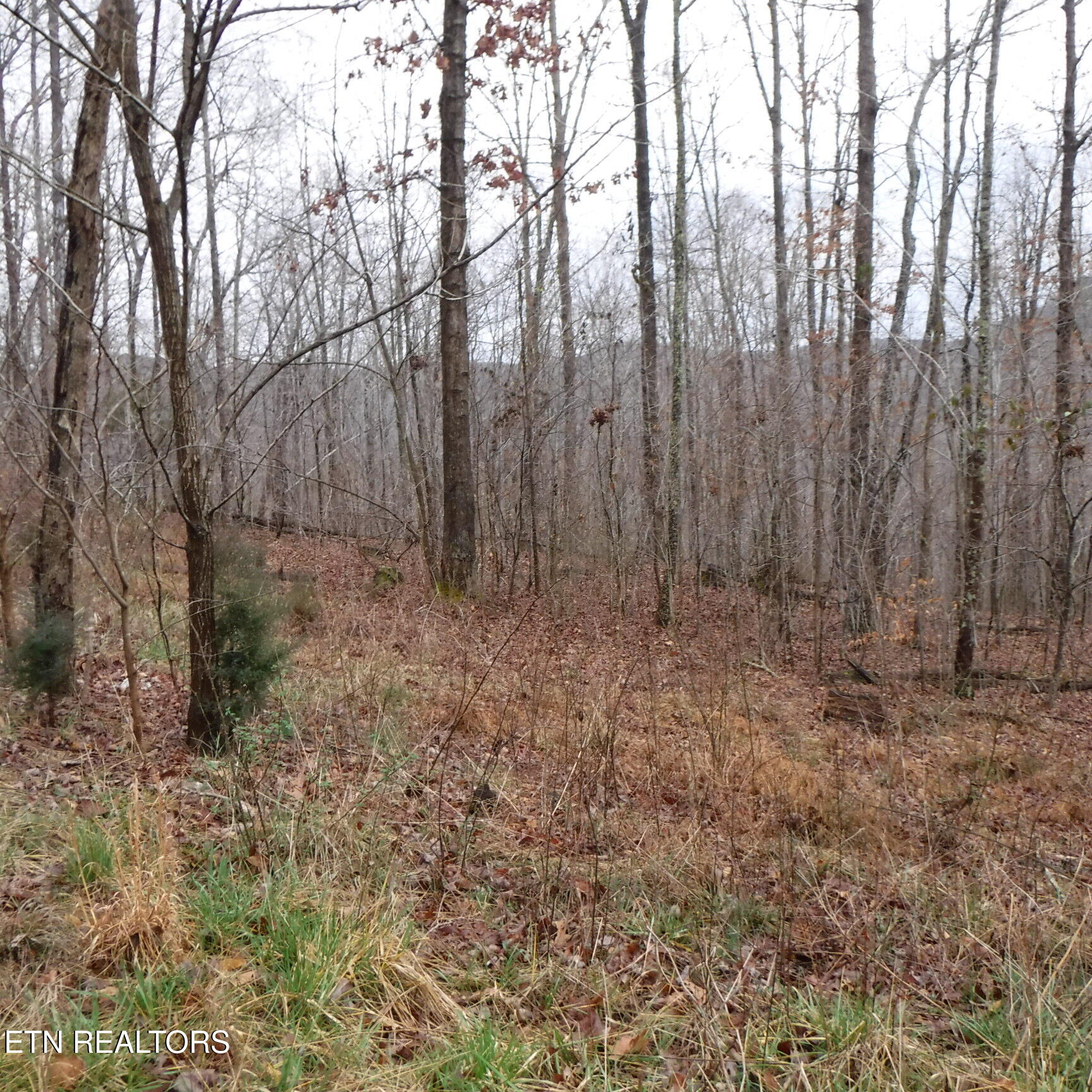 Lot 14 Cheyenne Drive Jamestown TN 38556