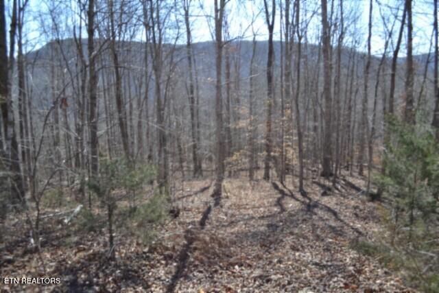 Lot 14 Cheyenne Drive Jamestown TN 38556