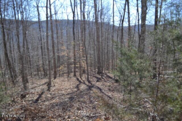 Lot 14 Cheyenne Drive Jamestown TN 38556