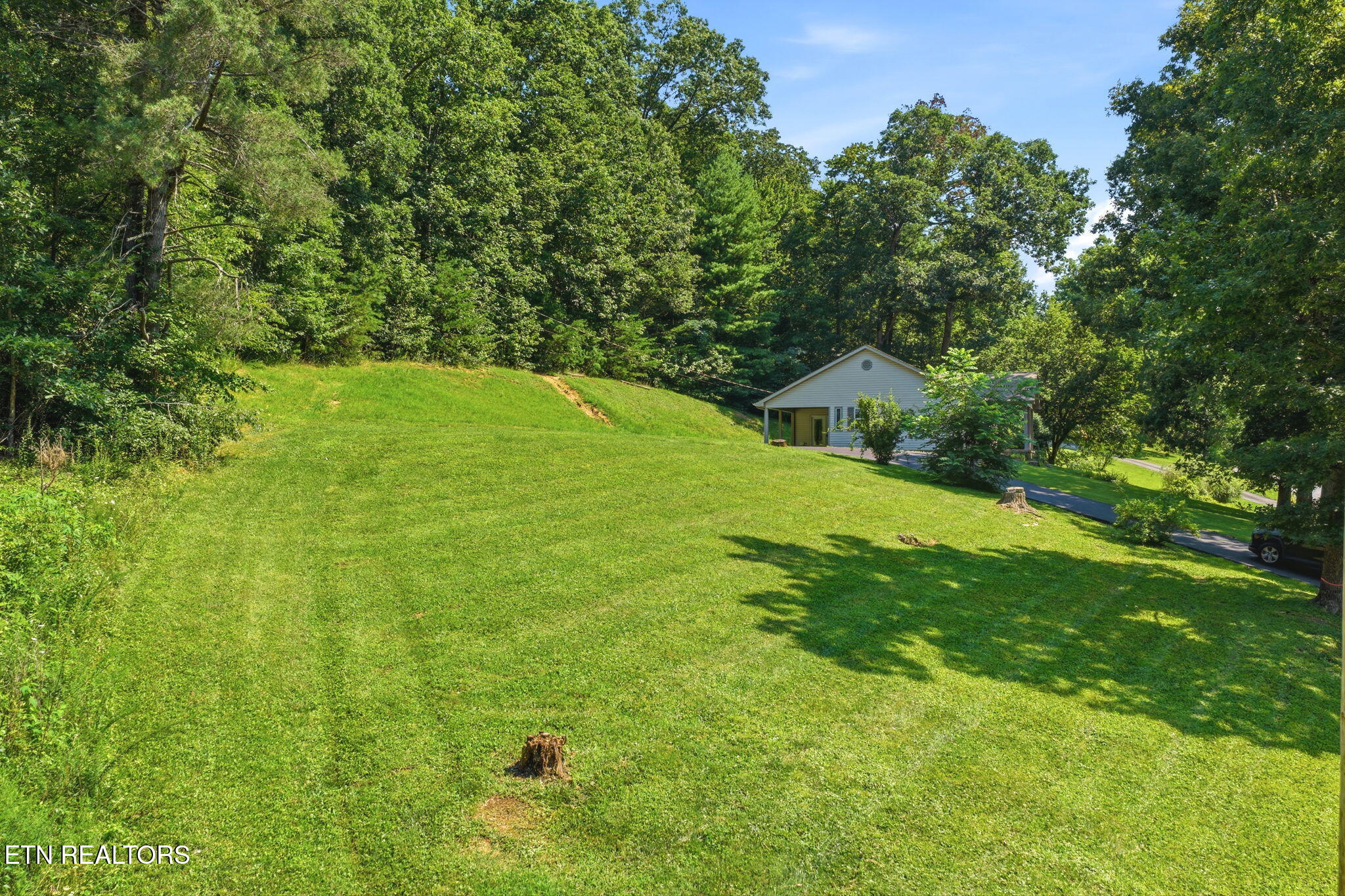 Skyline Drive Oneida TN 37841