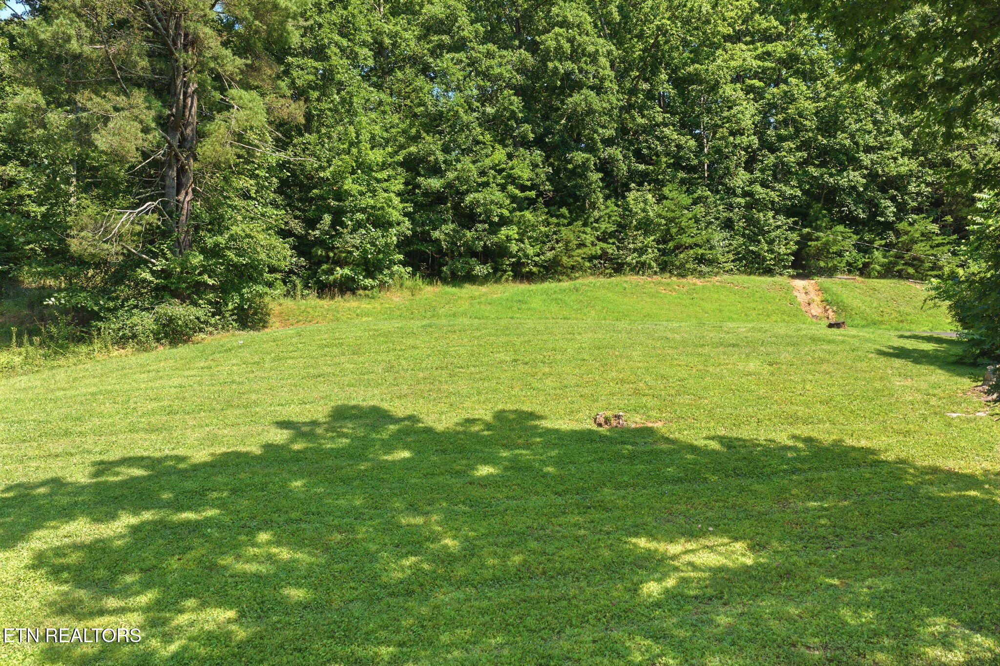 Skyline Drive Oneida TN 37841