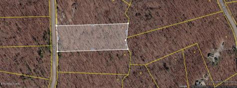 Lot 17 Street Place Loop Monterey TN 38574