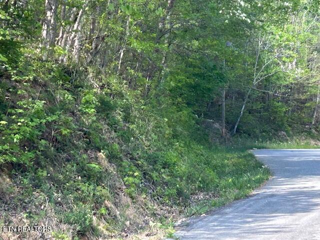 Lot 537 Whistle Valley Road New Tazewell TN 37825