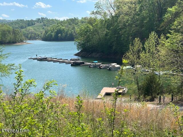 Lot 537 Whistle Valley Road New Tazewell TN 37825