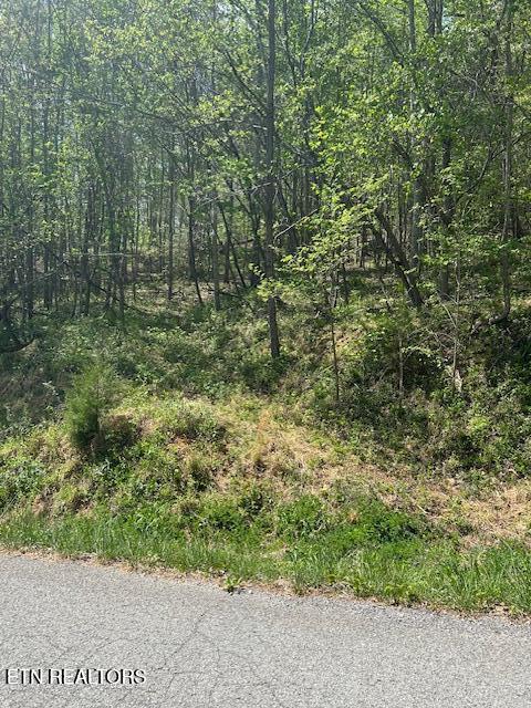 Lot 537 Whistle Valley Road New Tazewell TN 37825