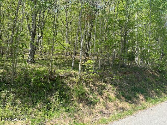 Lot 537 Whistle Valley Road New Tazewell TN 37825