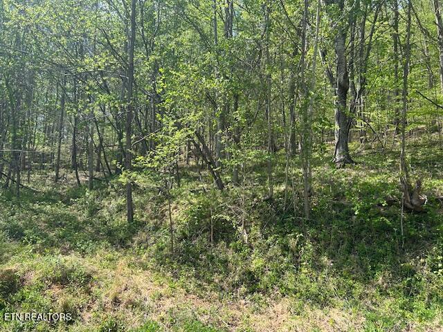 Lot 537 Whistle Valley Road New Tazewell TN 37825