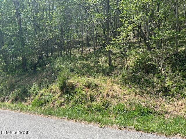 Lot 537 Whistle Valley Road New Tazewell TN 37825
