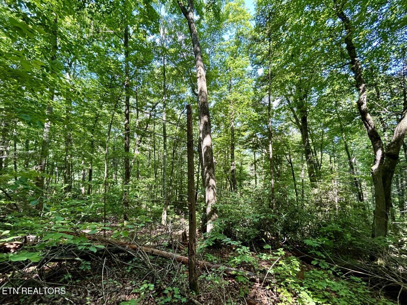 00 Grand Country Drive Cosby TN 37722