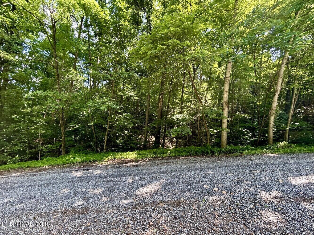 00 Grand Country Drive Cosby TN 37722