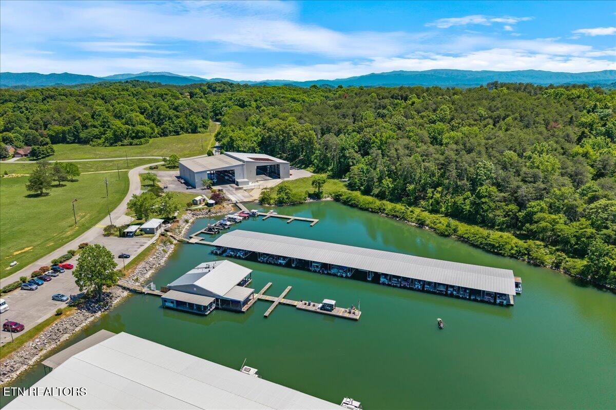 Cherokee Drive Maryville TN 37801