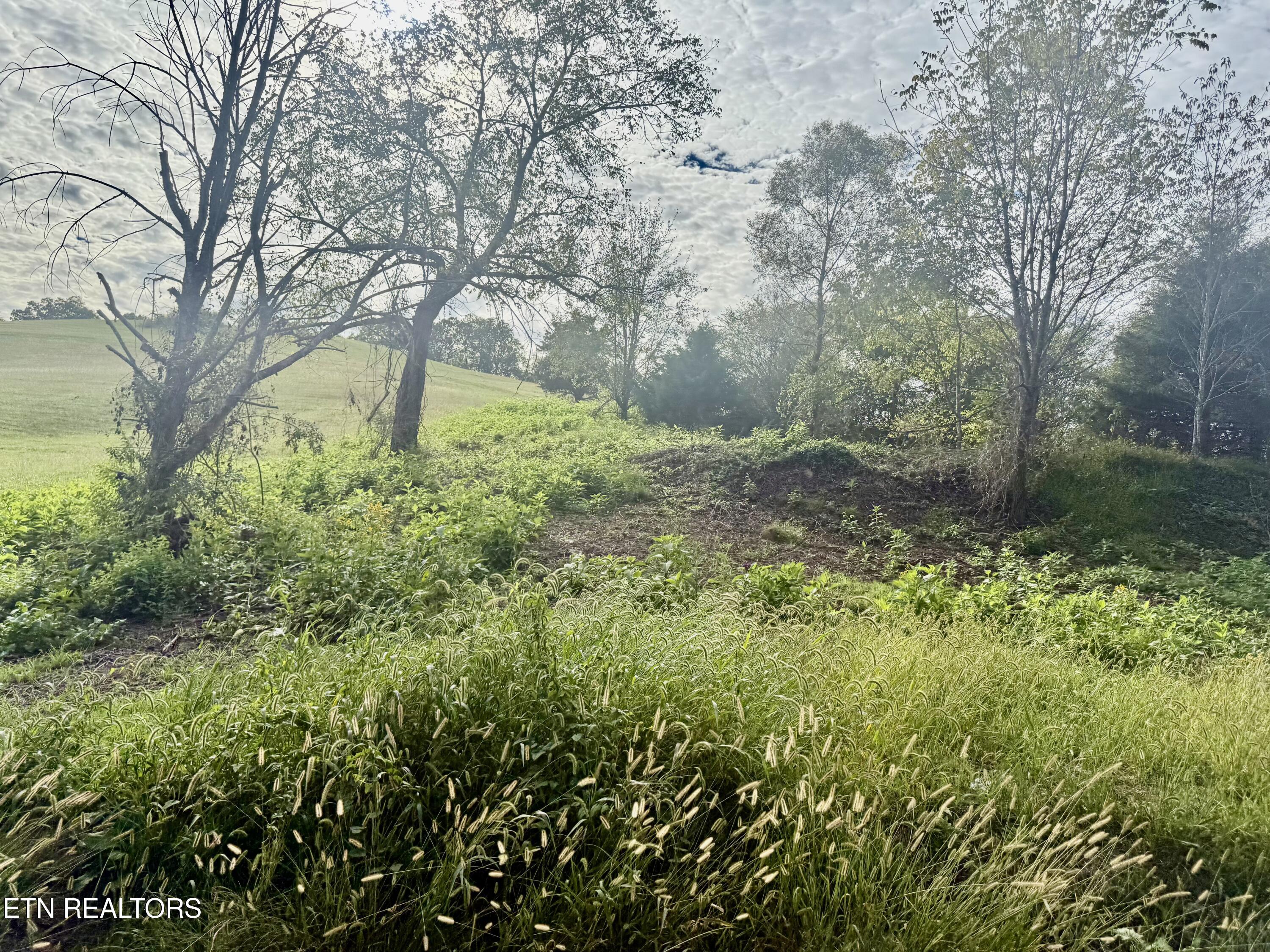 Harmon Road New Tazewell TN 37825