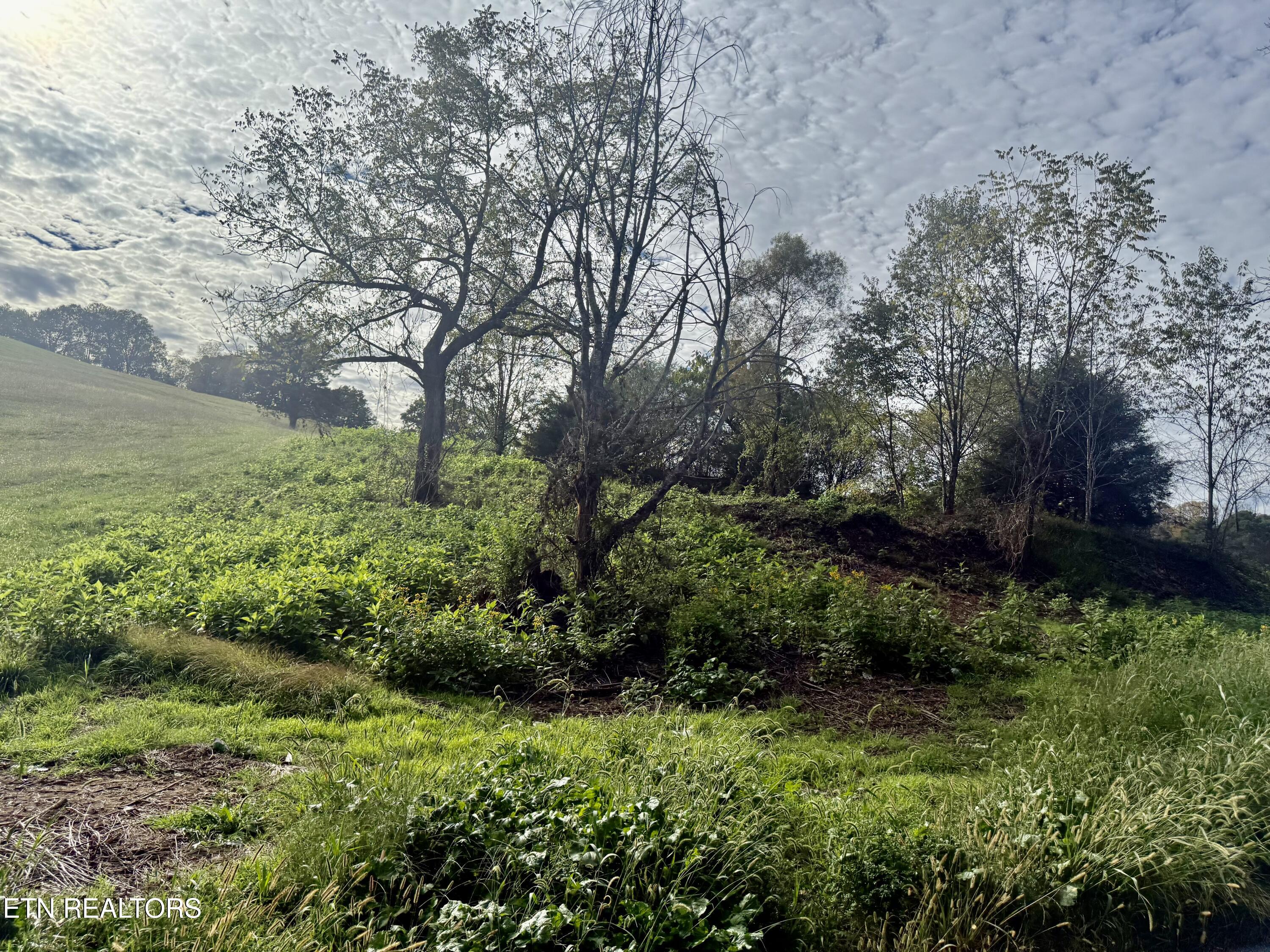 Harmon Road New Tazewell TN 37825