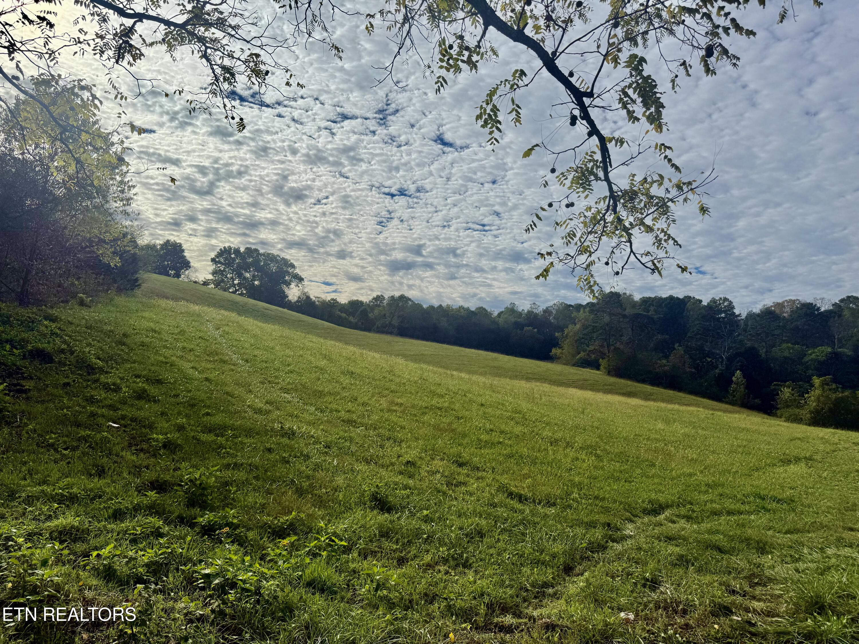 Harmon Road New Tazewell TN 37825