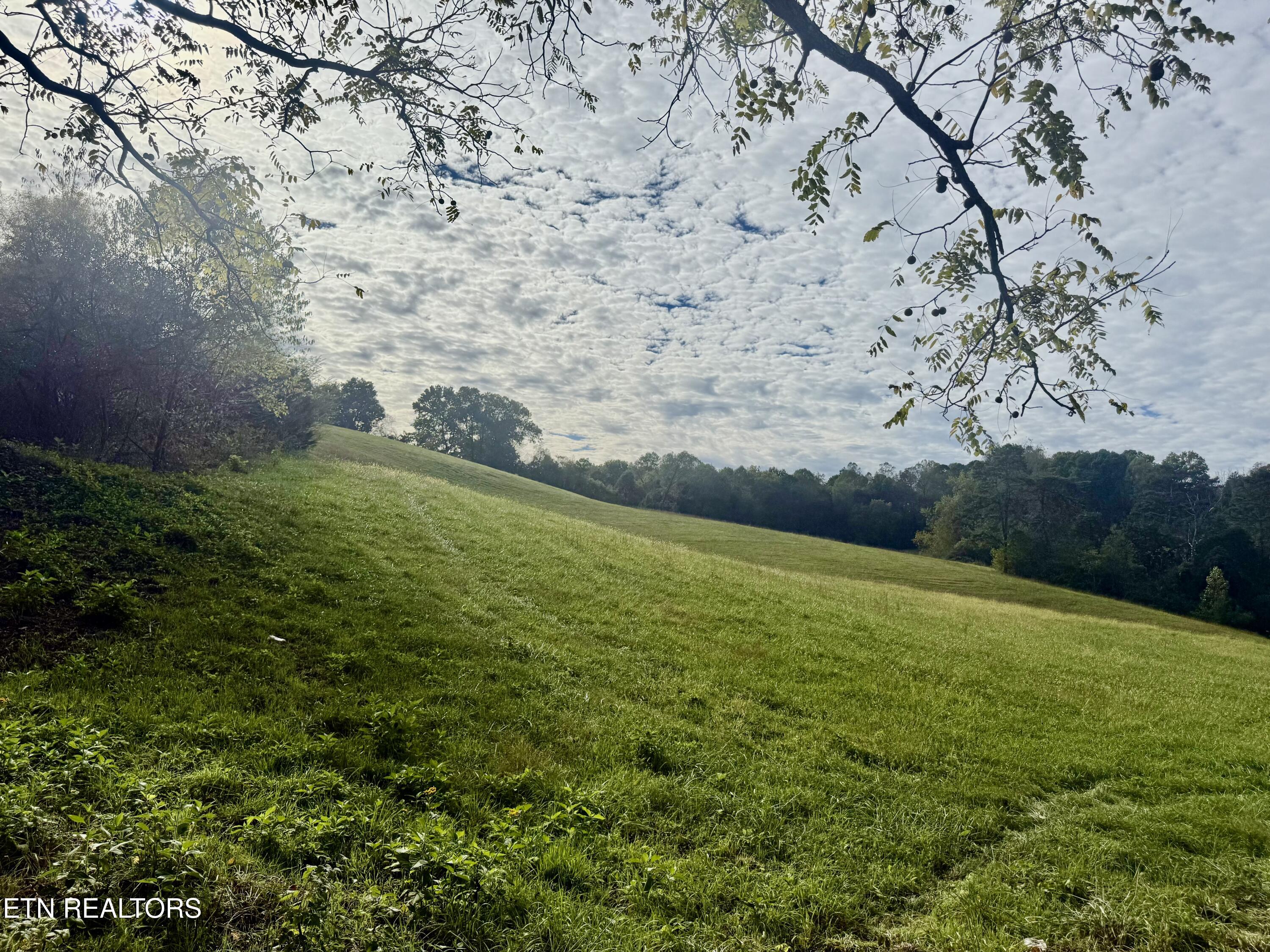 Harmon Road New Tazewell TN 37825