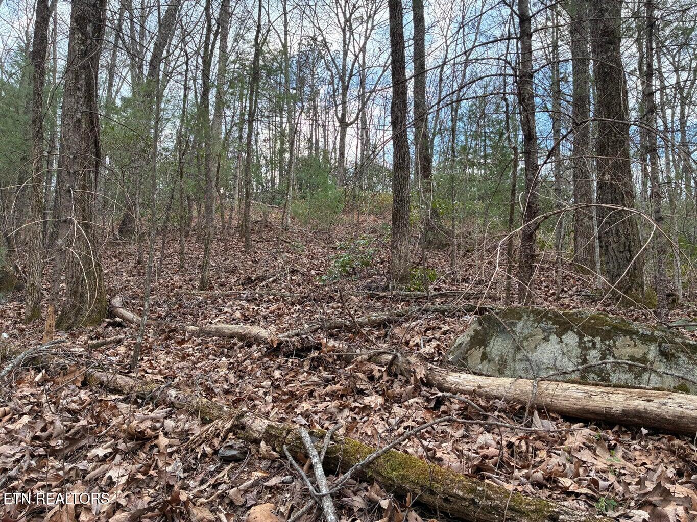 00 Chestnut Mountain Road Reliance TN 37369