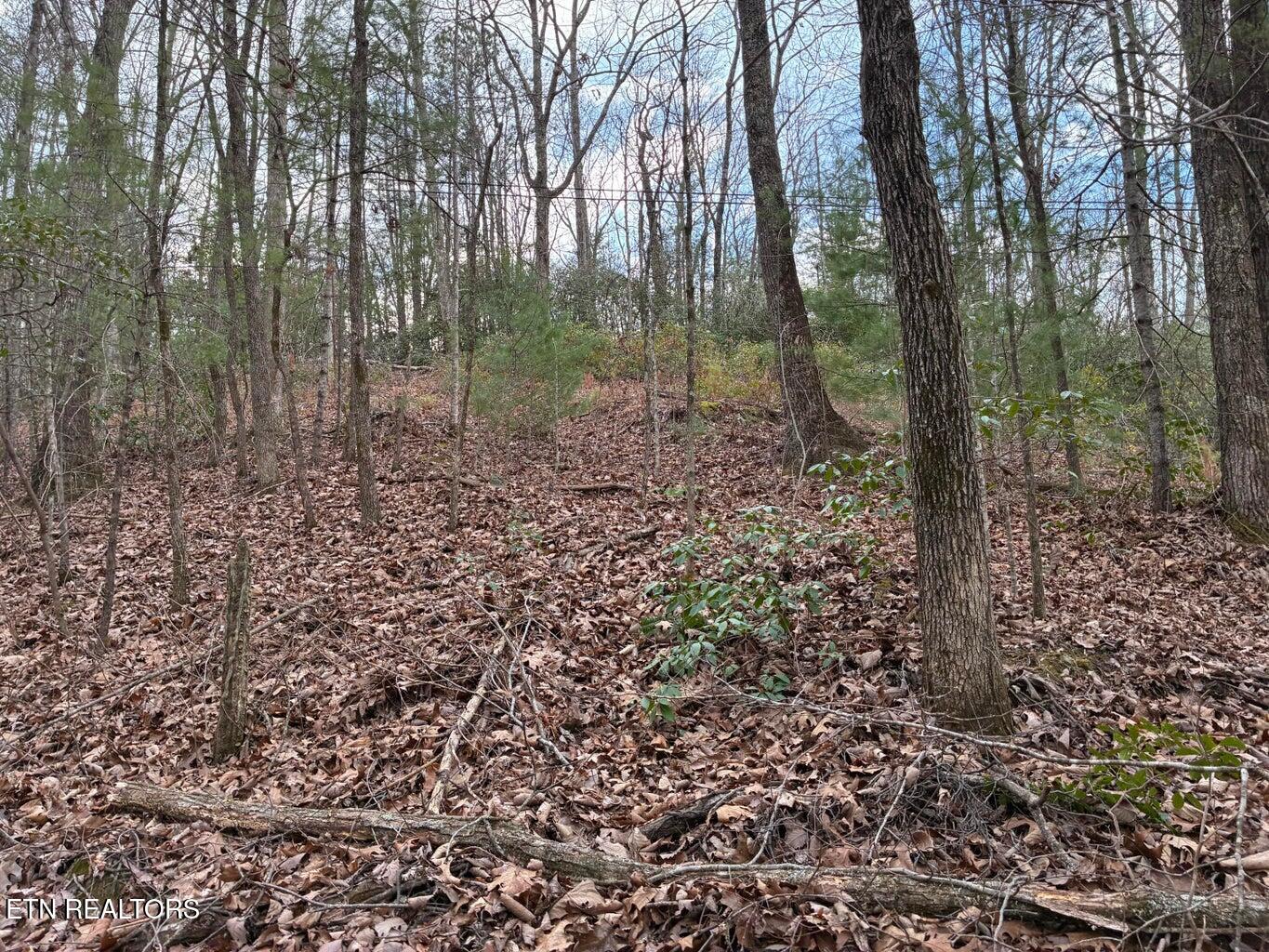 00 Chestnut Mountain Road Reliance TN 37369