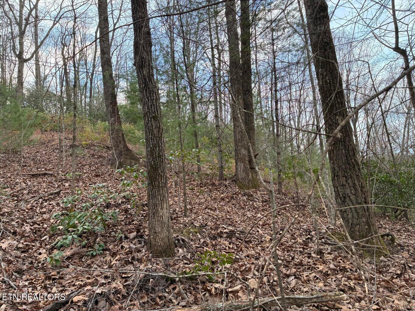 00 Chestnut Mountain Road Reliance TN 37369