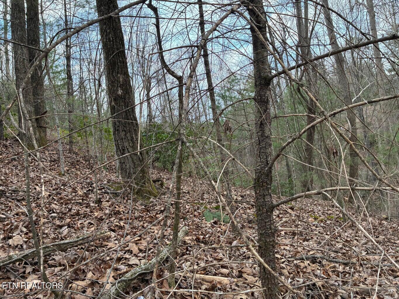 00 Chestnut Mountain Road Reliance TN 37369