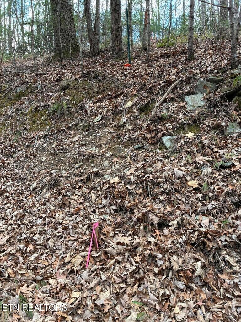 00 Chestnut Mountain Road Reliance TN 37369