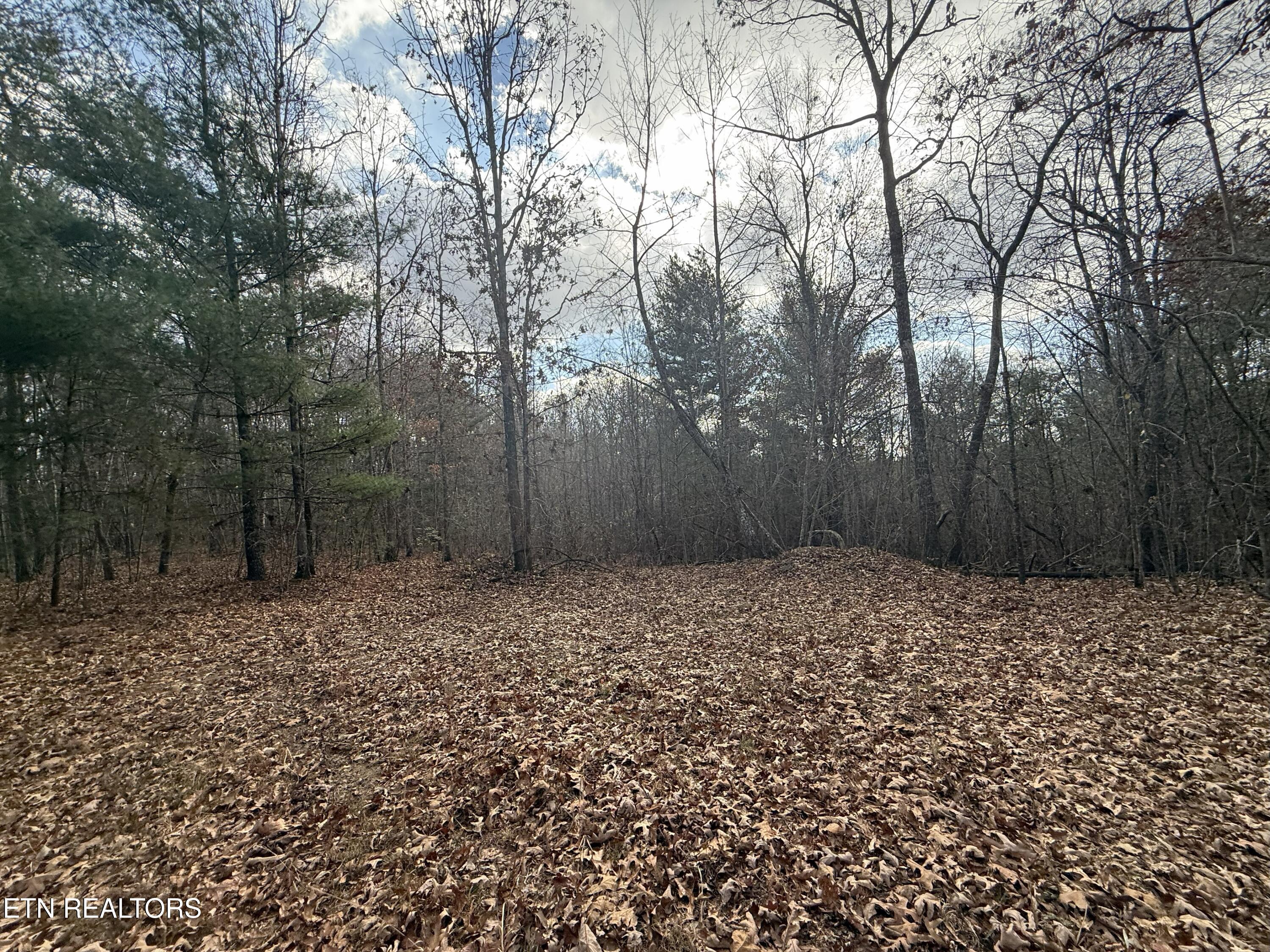 Valerie Drive 10.77 Acres Drive Deer Lodge TN 37726