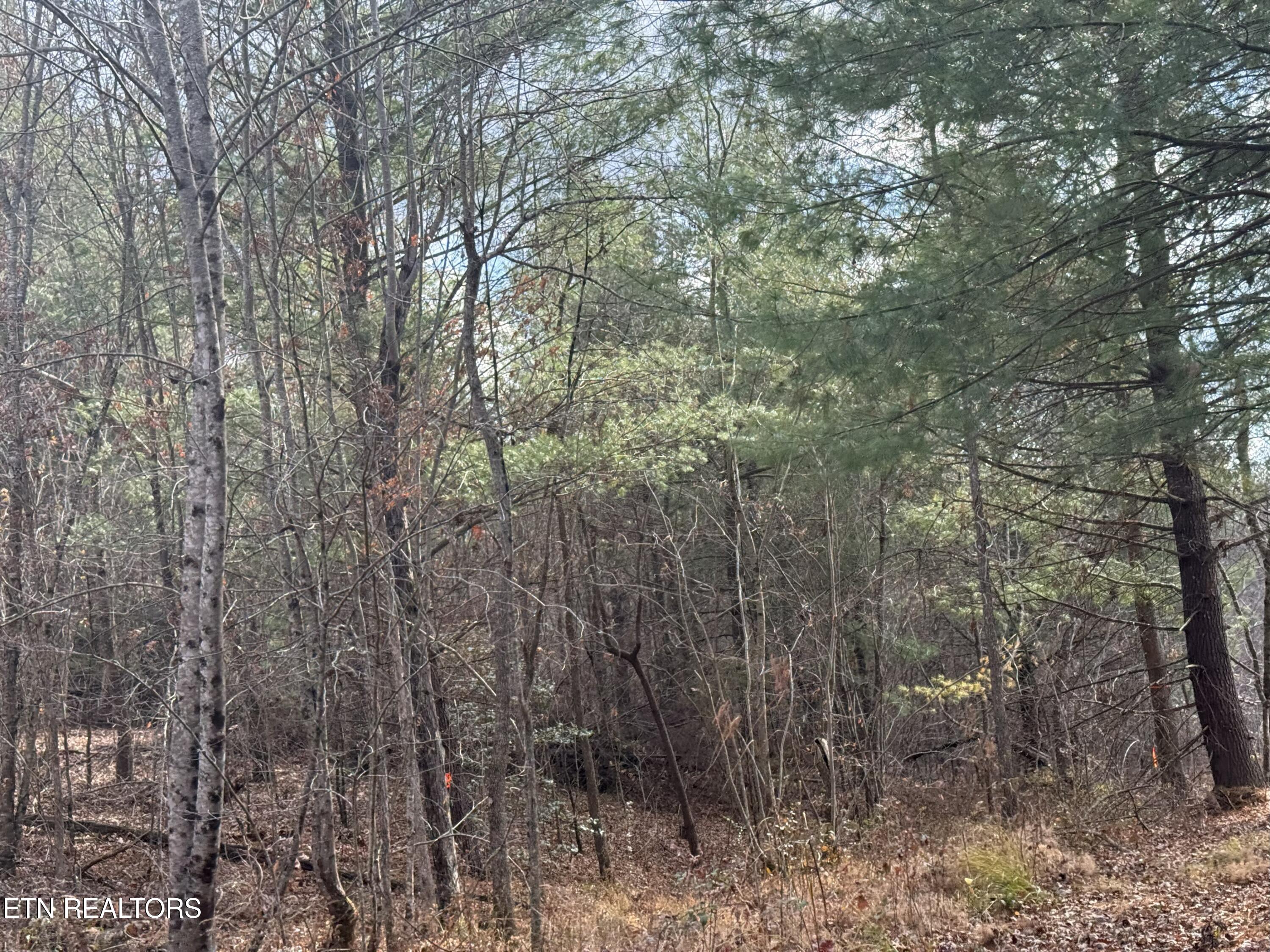 Valerie Drive 10.77 Acres Drive Deer Lodge TN 37726