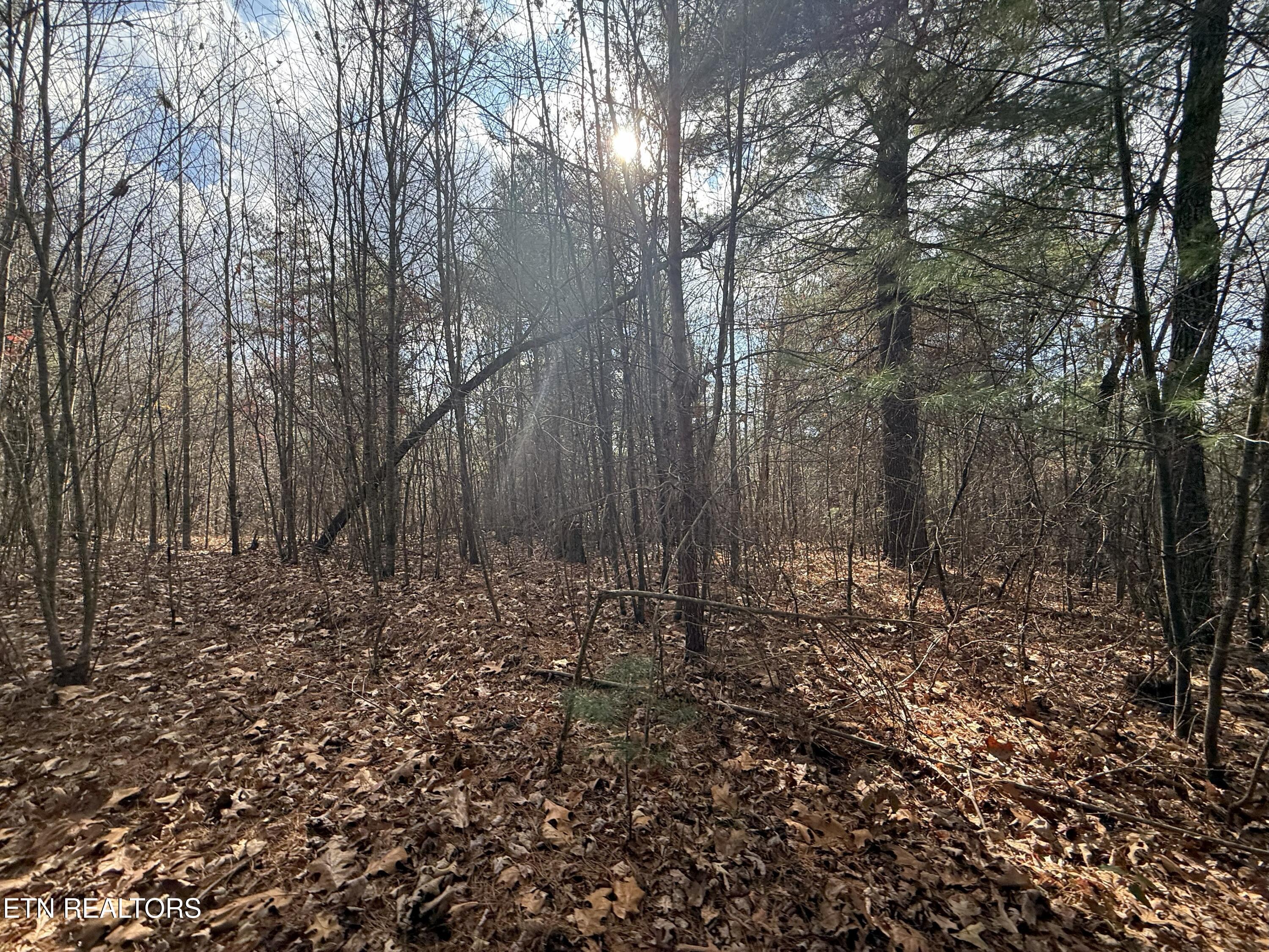 Valerie Drive 10.77 Acres Drive Deer Lodge TN 37726