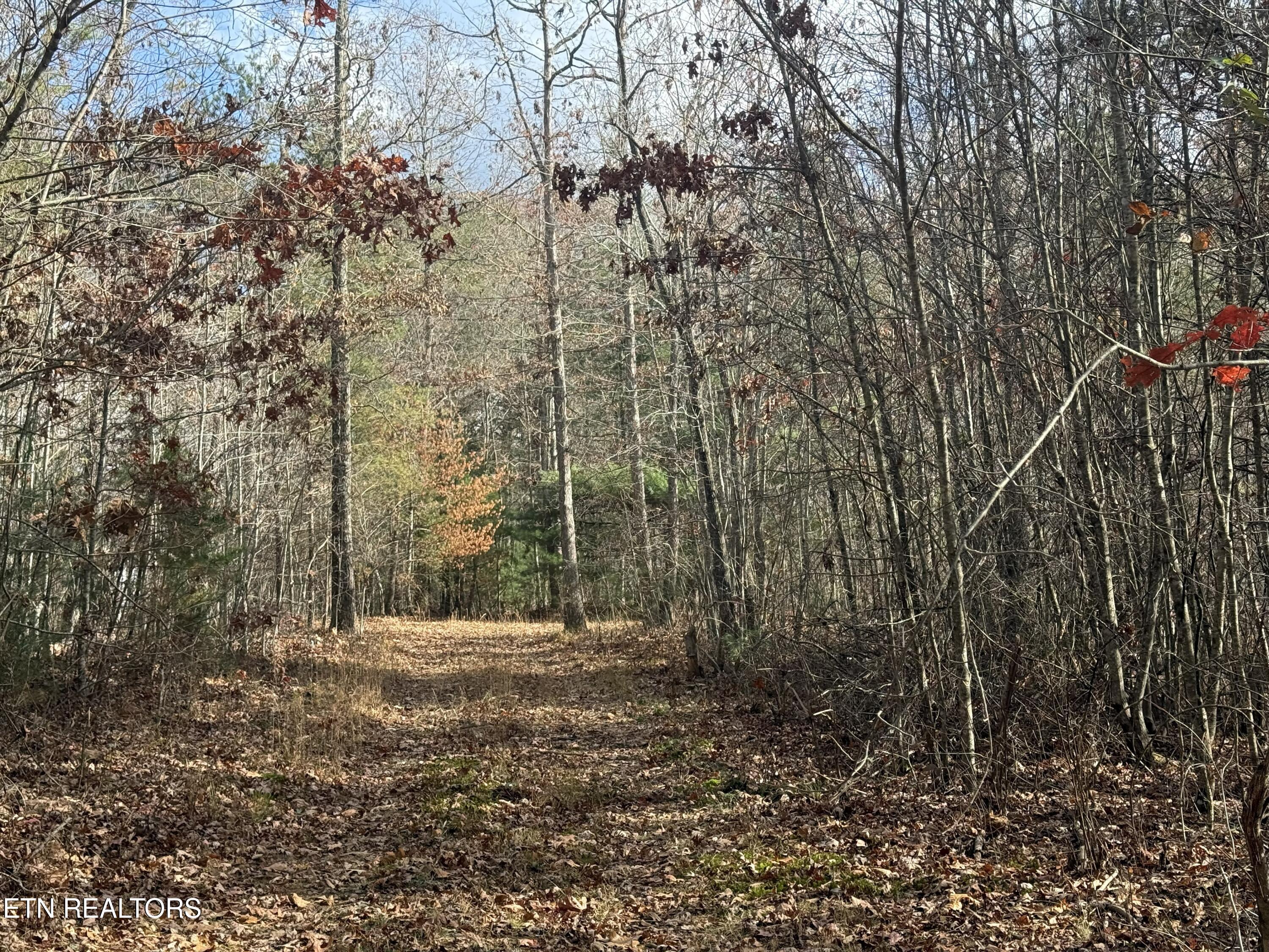 Valerie Drive 10.77 Acres Drive Deer Lodge TN 37726