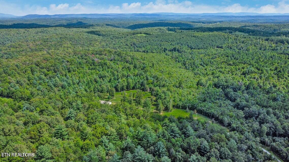 Valerie Drive 10.77 Acres Drive Deer Lodge TN 37726