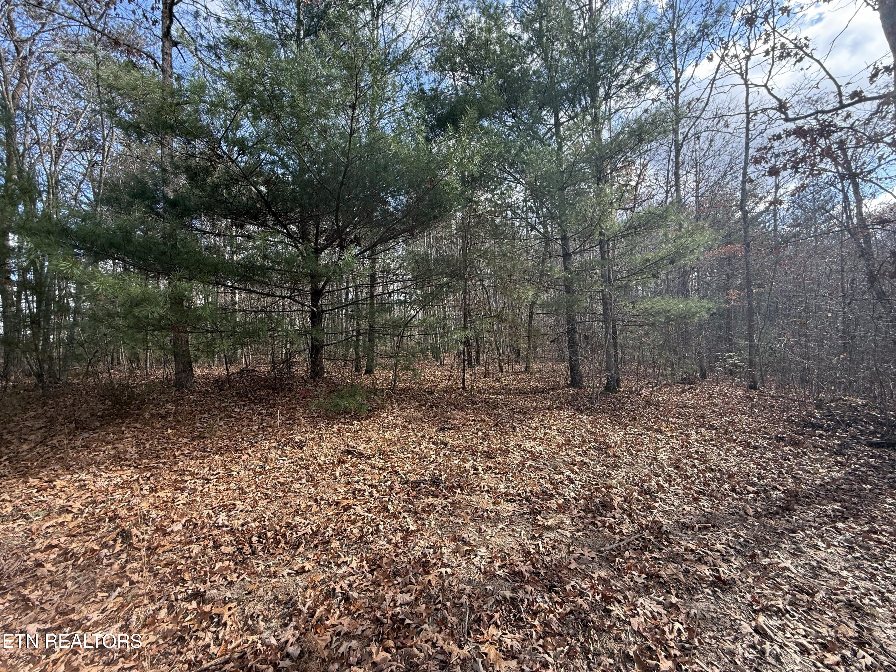 Valerie Drive 10.77 Acres Drive Deer Lodge TN 37726