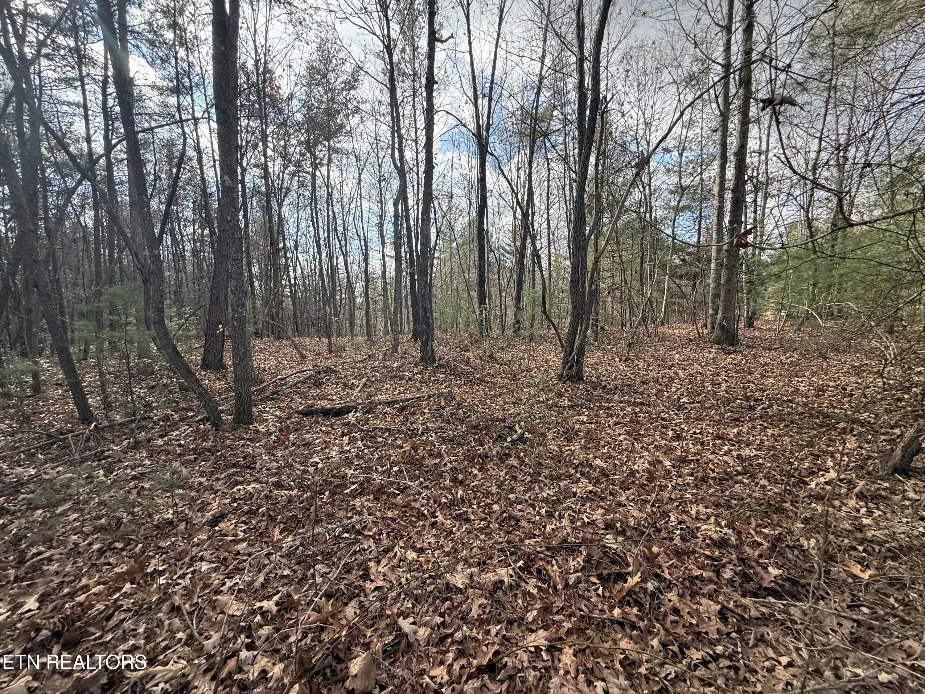 Valerie Drive 10.77 Acres Drive Deer Lodge TN 37726