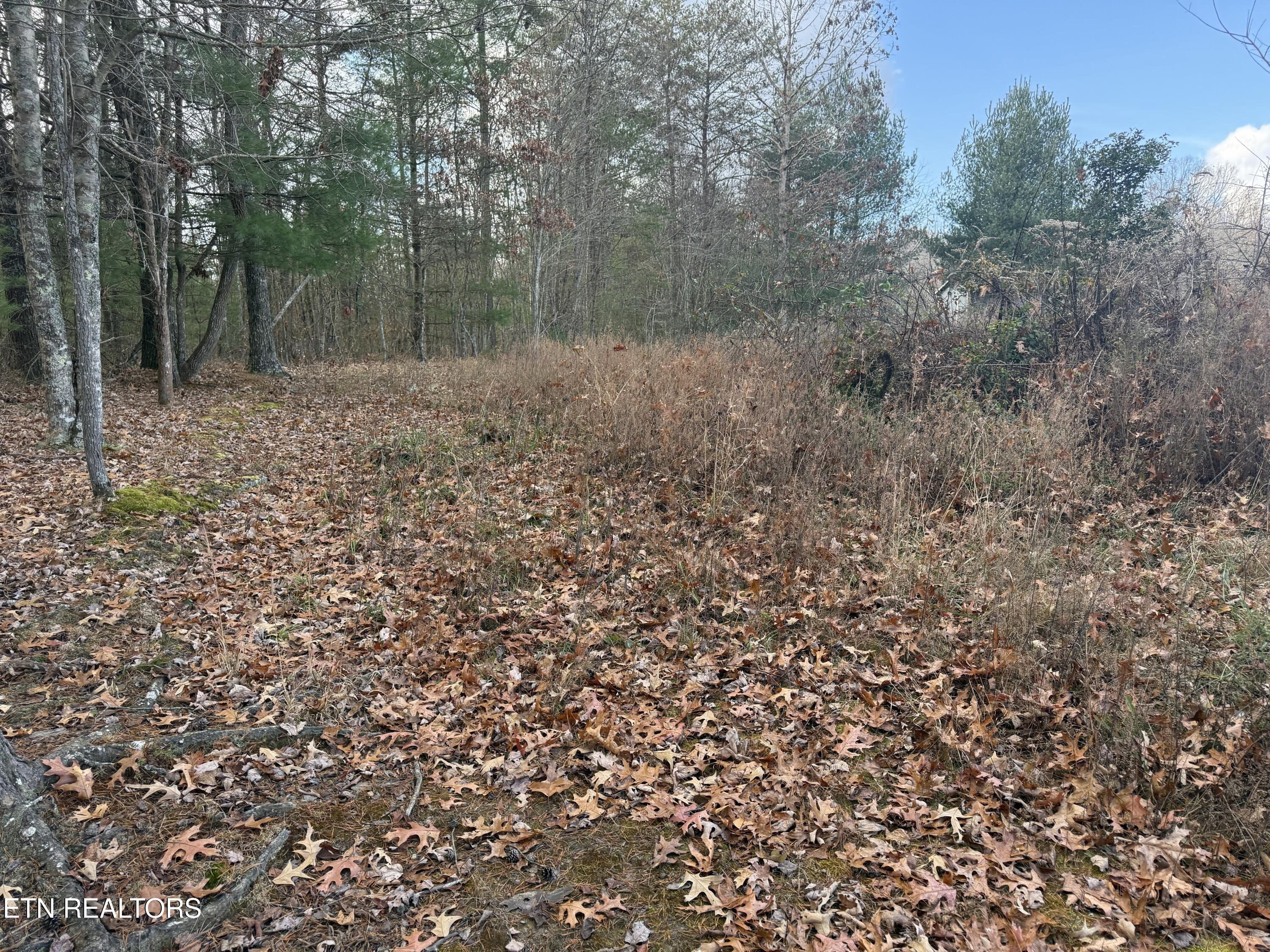 Valerie Drive 10.77 Acres Drive Deer Lodge TN 37726