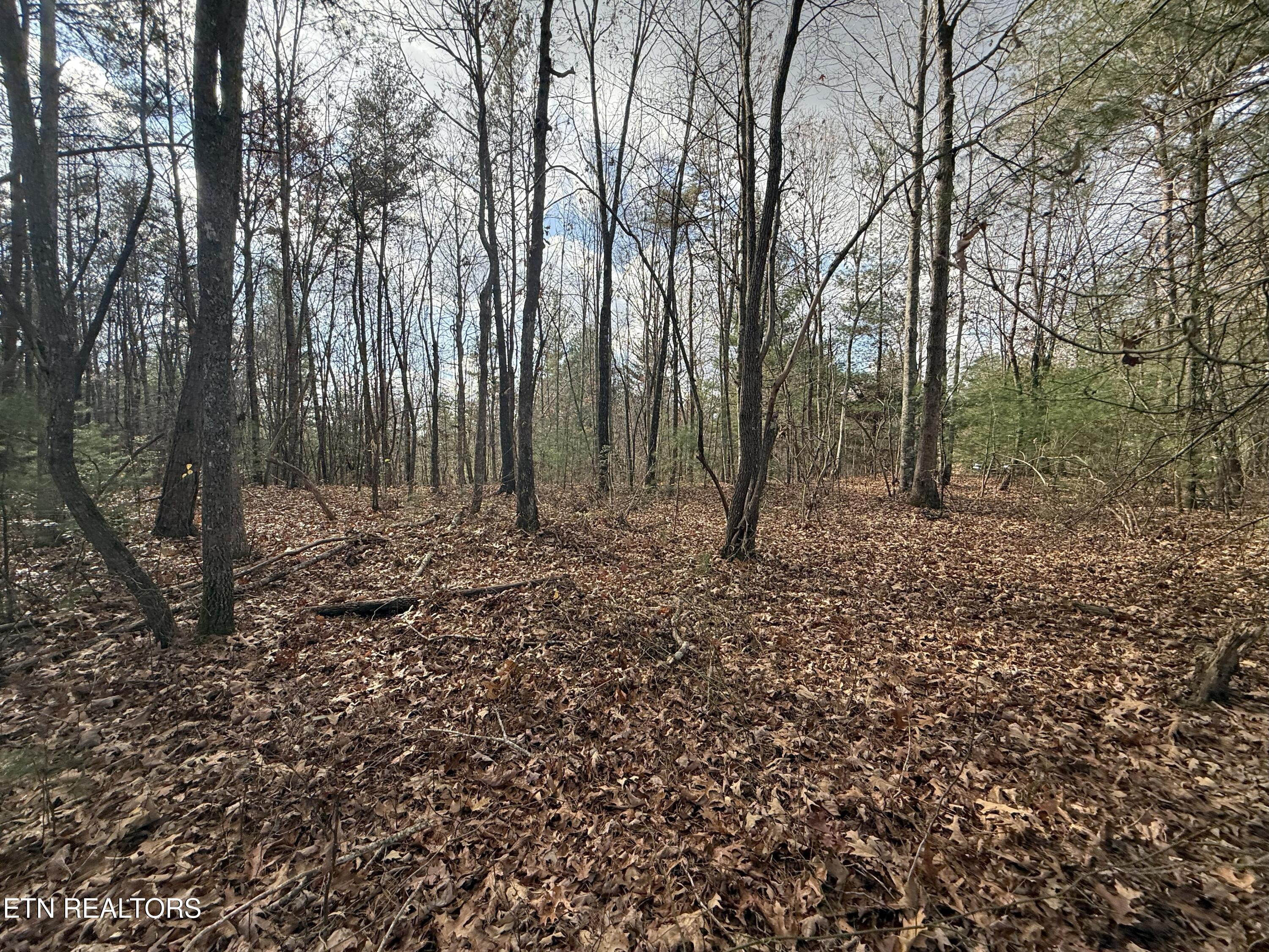 Valerie Drive 10.77 Acres Drive Deer Lodge TN 37726