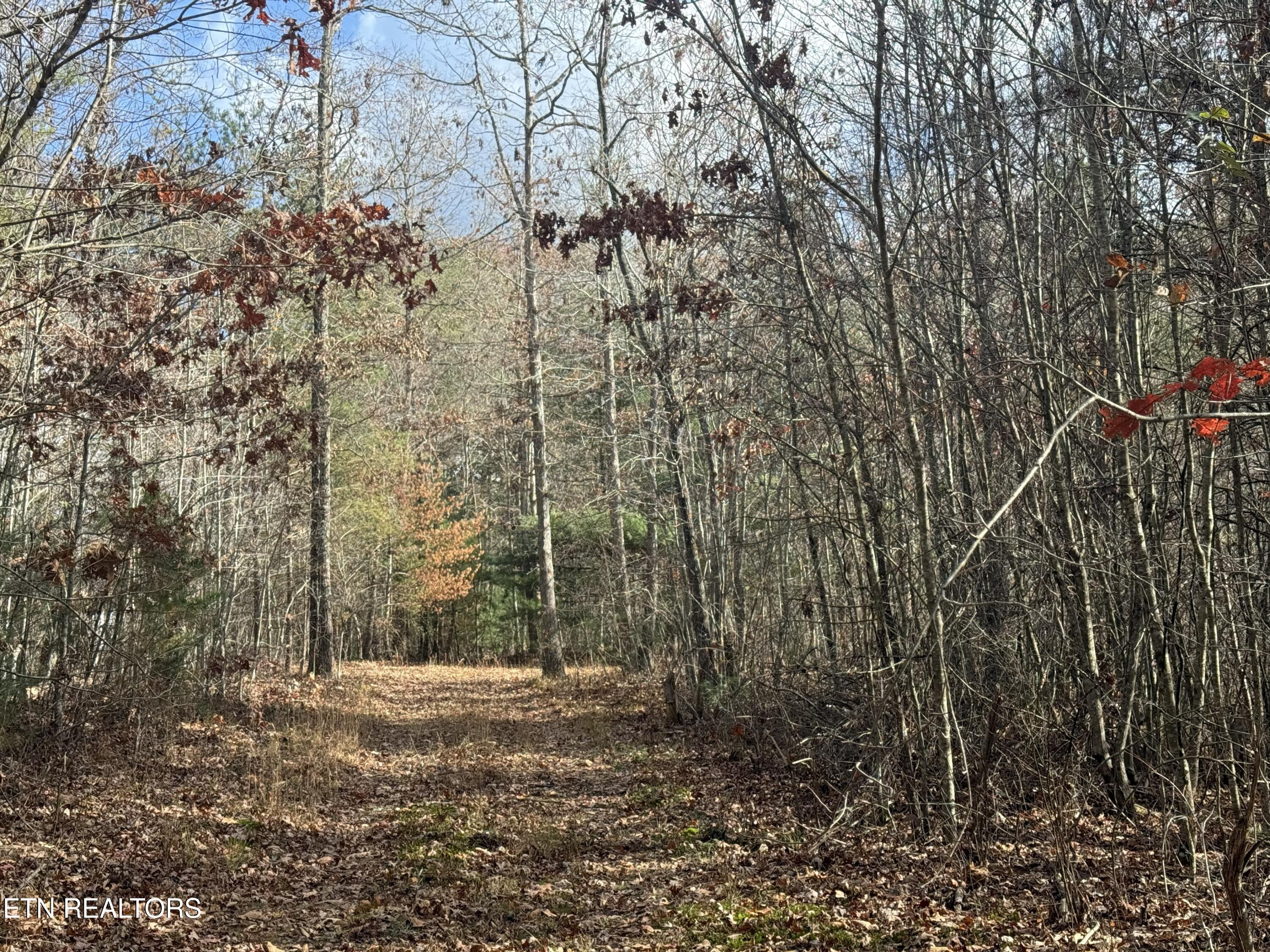 Valerie Drive 10.77 Acres Drive Deer Lodge TN 37726