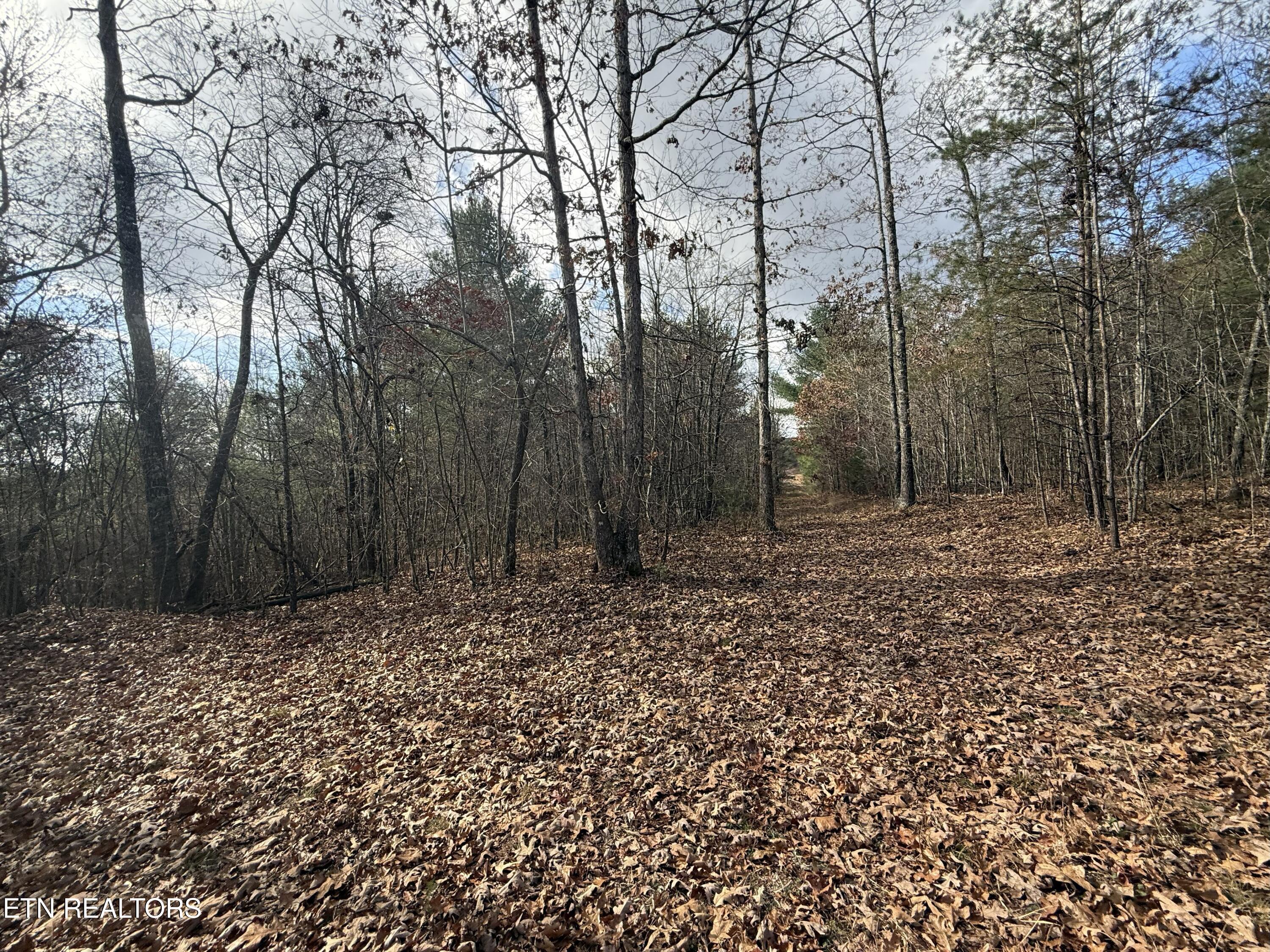 Valerie Drive 10.77 Acres Drive Deer Lodge TN 37726