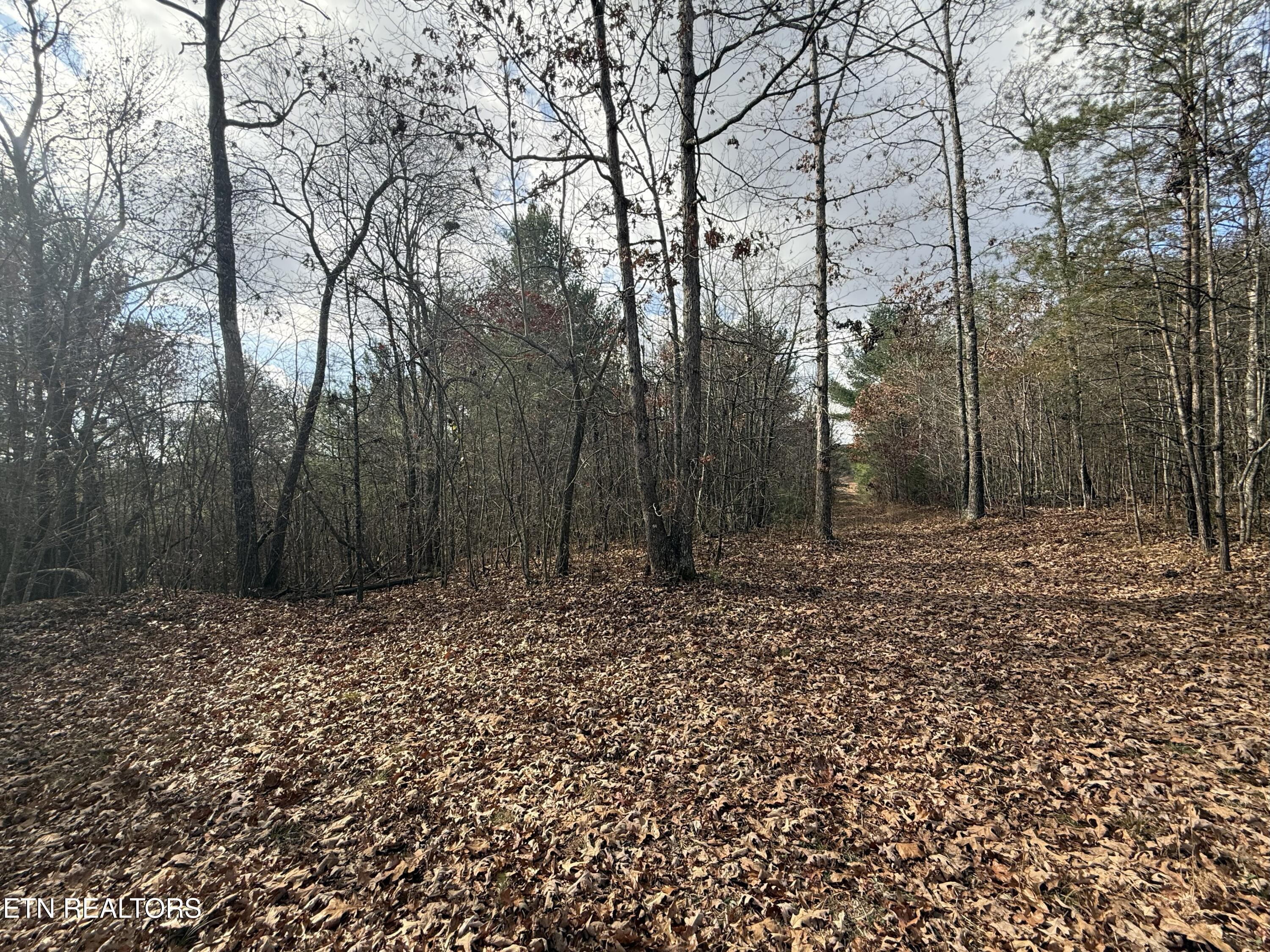 Valerie Drive 10.77 Acres Drive Deer Lodge TN 37726