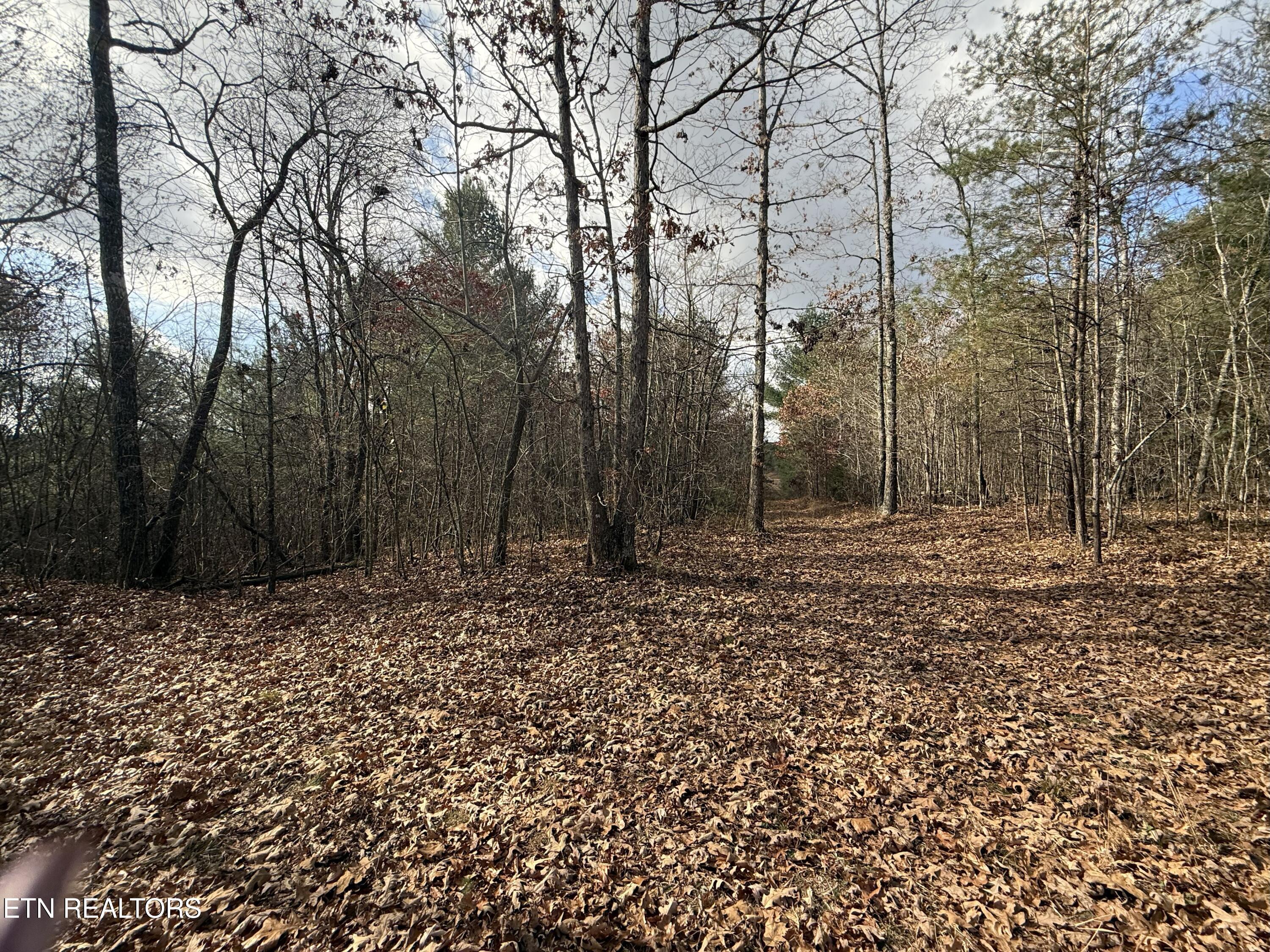 Valerie Drive 10.77 Acres Drive Deer Lodge TN 37726