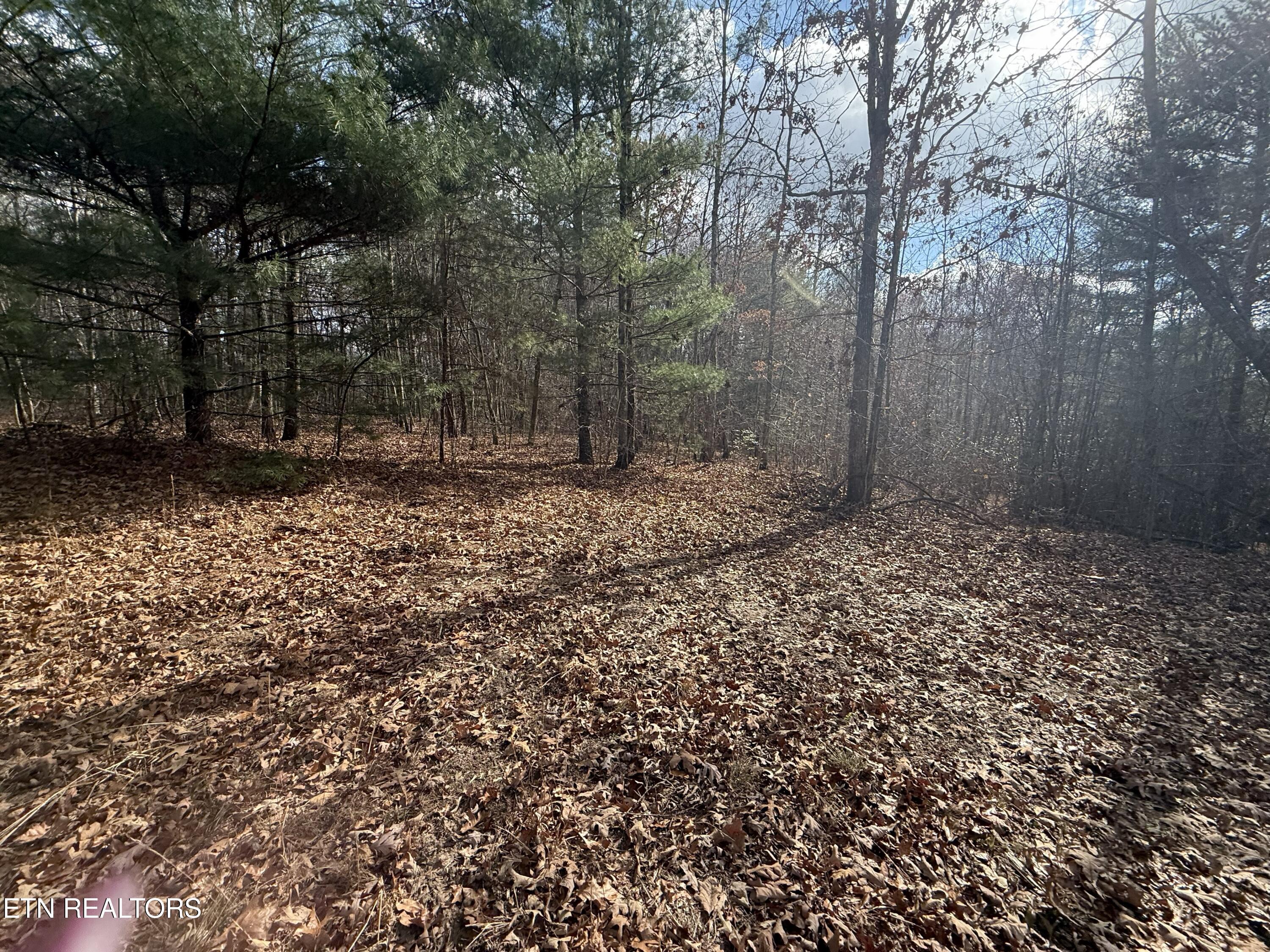 Valerie Drive 10.77 Acres Drive Deer Lodge TN 37726